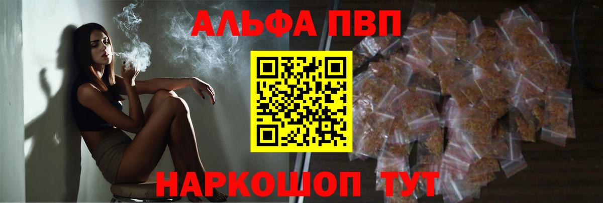 A PVP СК КРИС Печора