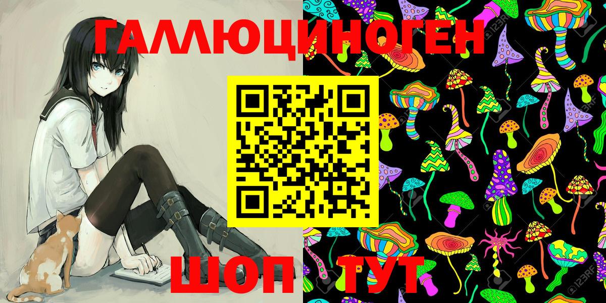 Печора  Псилоцибиновые грибы Psilocybine cubensis  Вход с VPN 
